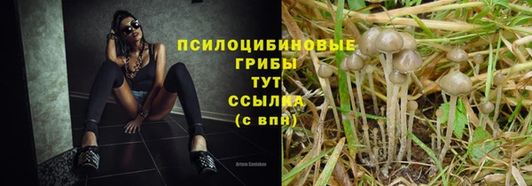 2c-b Кинешма